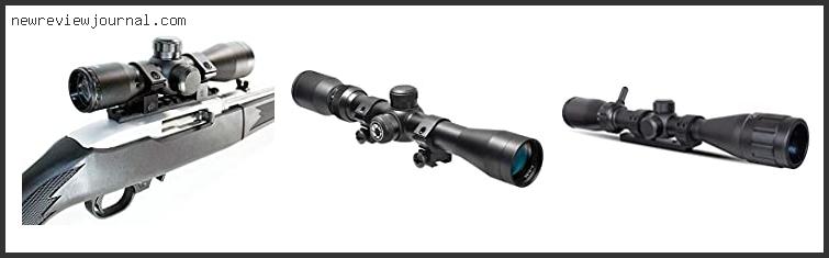 Deals For Best Scope For 10/22 With Buying Guide
