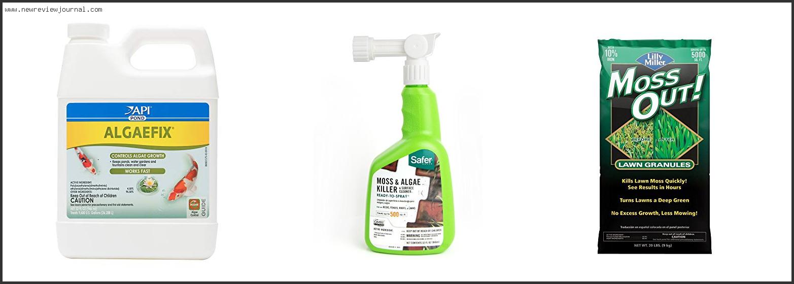 Top 10 Best Moss And Algae Killer – Available On Market