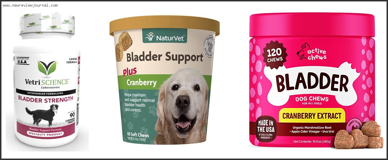 Top 10 Best Bladder Support For Dogs Based On Scores