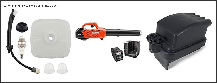 Top 10 Best Echo Leaf Blower With Expert Recommendation