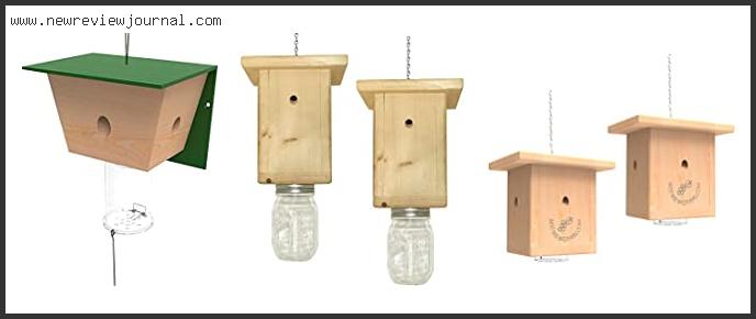 Best Carpenter Bee Trap