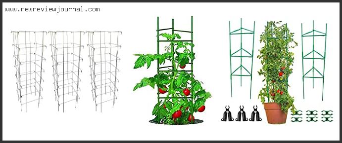 Top 10 Best Tomato Cages Based On Customer Ratings