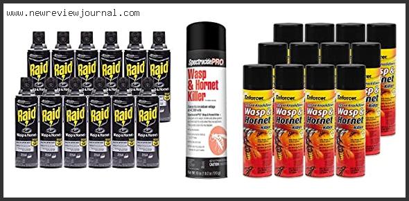 Top 10 Best Wasp Spray Based On User Rating
