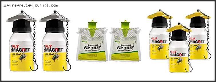 Top 10 Best Fly Trap Based On User Rating