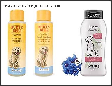 Top 10 Best Puppy Shampoos Reviews For You