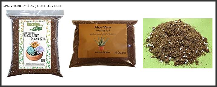Top 10 Best Soil For Aloe Vera Reviews With Scores