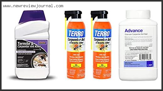 Top 10 Best Carpenter Ant Killer Reviews With Scores