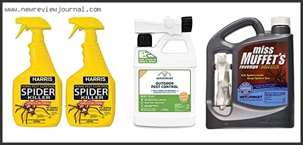 Top 10 Best Spider Killer – Available On Market