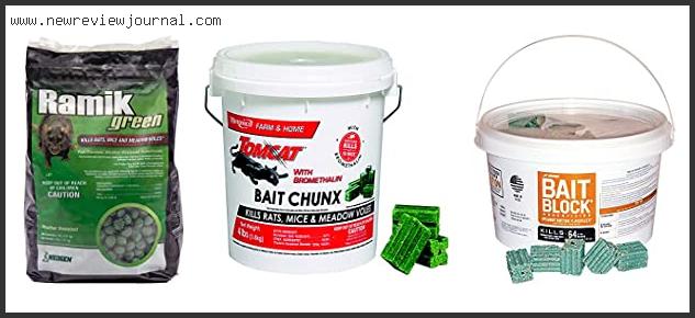 Top 10 Best Rat Poison Reviews With Products List