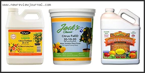 Top 10 Best Citrus Fertilizer Reviews With Products List