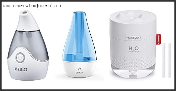 Top 10 Best Travel Humidifier Reviews With Scores