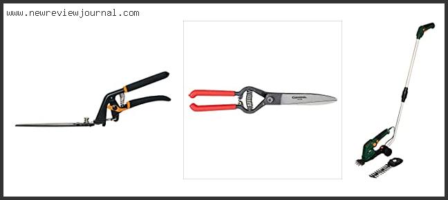 Top 10 Best Grass Shears Reviews With Scores