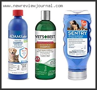 Top 10 Best Flea Shampoos With Buying Guide
