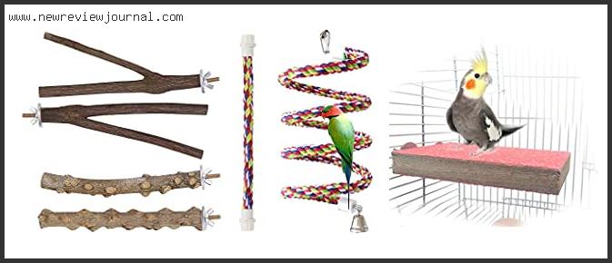 Top 10 Best Bird Perches Reviews With Products List
