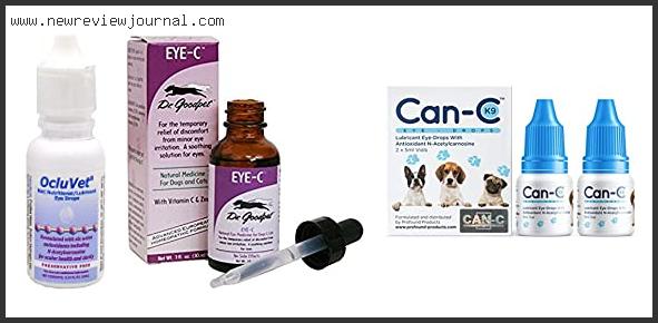 Top 10 Best Cataract Eye Drops For Dogs Based On Customer Ratings