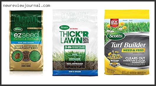 Top 10 Best Price On Scotts Turf Builder Weed And Feed Reviews With Scores
