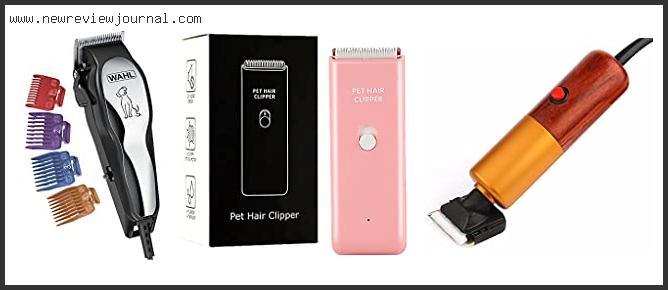 Top 10 Best Electric Dog Clippers – Available On Market