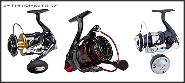 Top 10 Best Saltwater Reels With Buying Guide