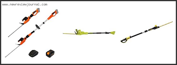 Top 10 Best Long Reach Hedge Trimmer With Expert Recommendation