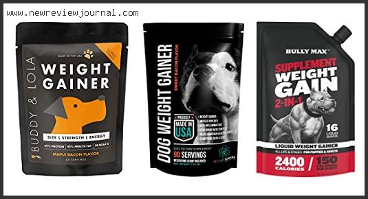 Best Weight Gain Supplement For Dogs