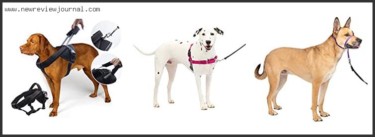 Top 10 Best No Jump Dog Harness – To Buy Online