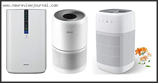Top 10 Best Dehumidifier Air Purifier Combo Reviews With Scores