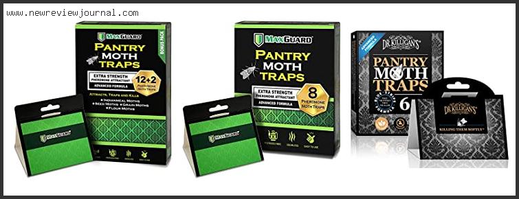 Top 10 Best Moth Traps With Expert Recommendation