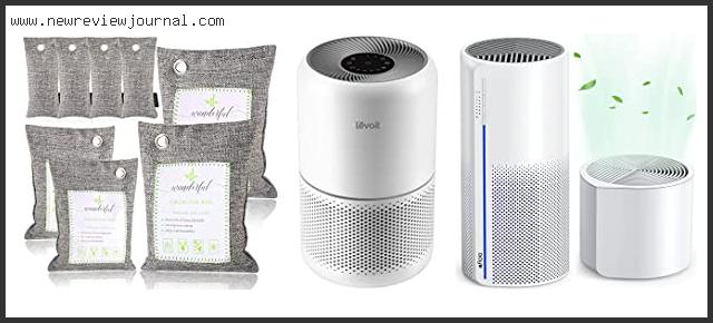 Top 10 Best Air Purifier For Humidity Reviews For You