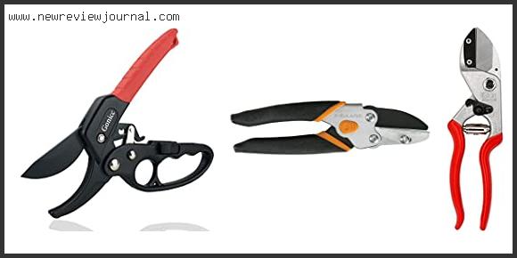 Top 10 Best Anvil Pruners In [2024]