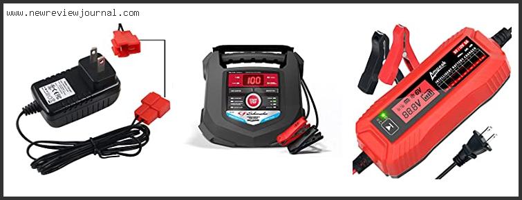 Top 10 Best 6v Battery Charger – Available On Market