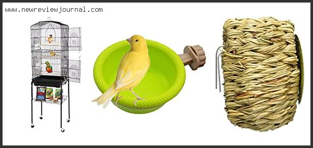 Best Cage For Finches