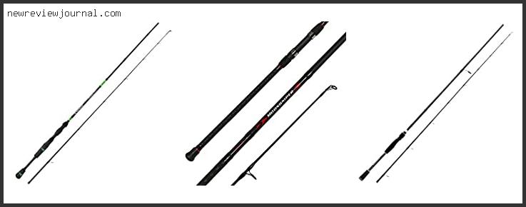 Top 10 Best Budget 2 Piece Casting Rod Based On Scores