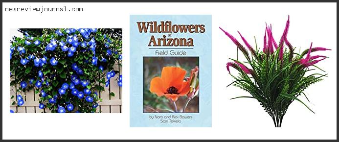 Best Flowering Vines For Arizona