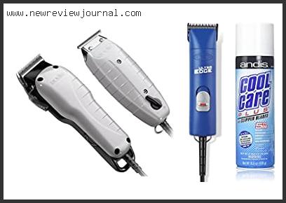 Top 10 Best Andis Clippers With Expert Recommendation