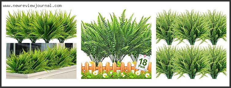 Top 10 Best Fake Ferns For Outdoors Reviews With Products List