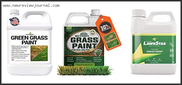 Top 10 Best Grass Paint Reviews With Scores
