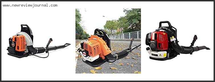 Top 10 Best Commercial Leaf Blowers Based On Customer Ratings