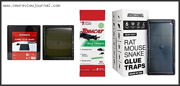 Top 10 Best Glue Traps For Rats Based On Scores