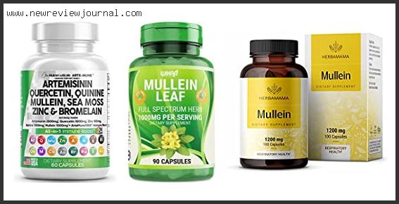 Best Mullein Supplement