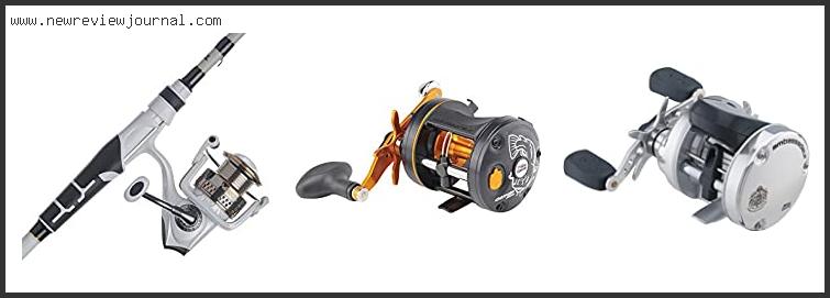 Top 10 Best Abu Garcia Reels With Expert Recommendation
