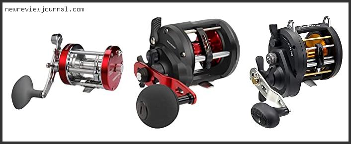 Deals For Best Reel For Trolling And Bottom Fishing In [2024]