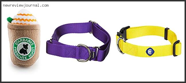 Deals For Best Collars For Frenchies Based On User Rating