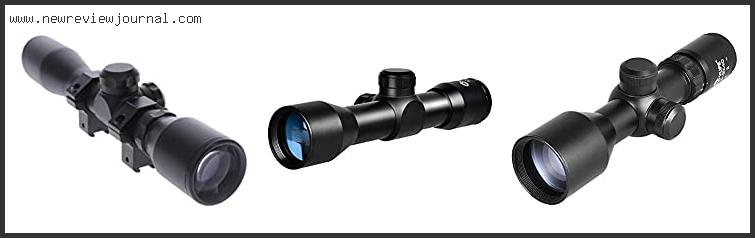 Top 10 Best Scope Mount For Crickett 22 – Available On Market