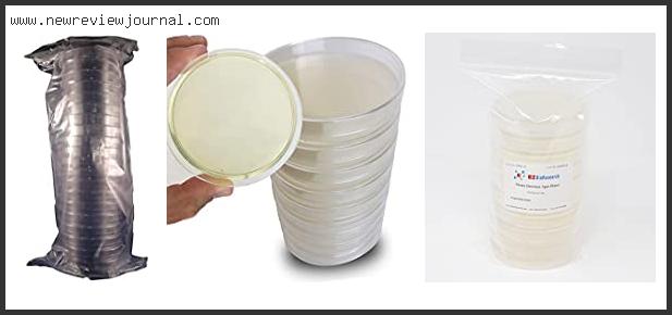 Top 10 Best Petri Dishes For Mycology Reviews With Scores