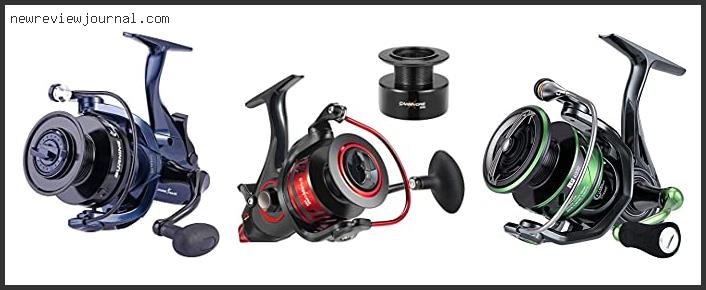 Top 6 Best Budget Baitrunner Reviews With Products List