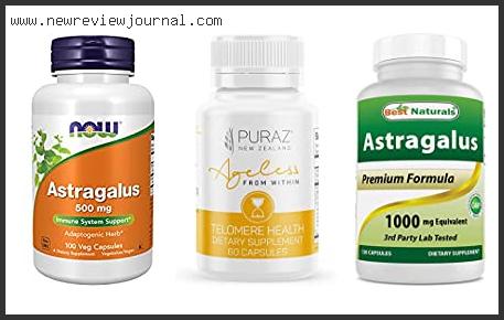 Top 10 Best Astragalus Supplement – To Buy Online