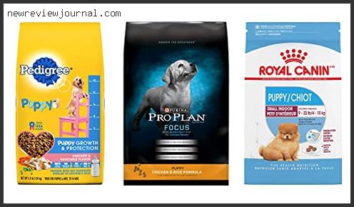 Best Dry Dog Food For Chow Chow Puppy