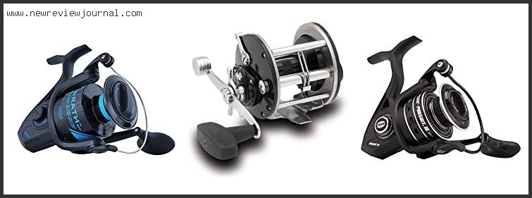 Top 10 Best Penn Reels With Buying Guide