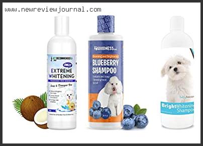 Top 10 Best Dog Whitening Shampoo Reviews With Products List