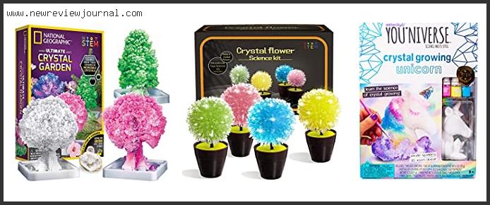 Top 10 Best Crystal Growing Kit Based On Scores